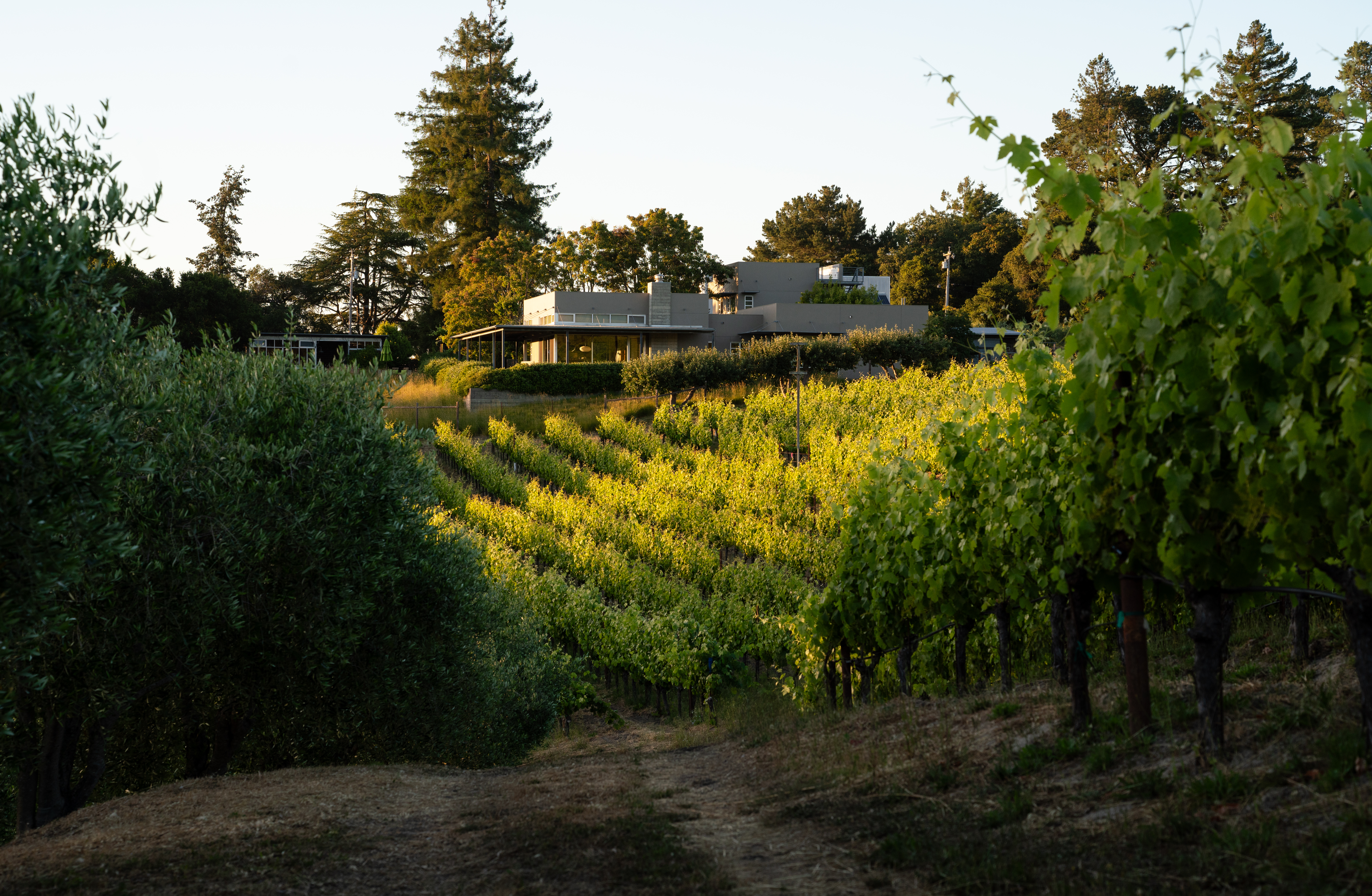 A Season’s Transition